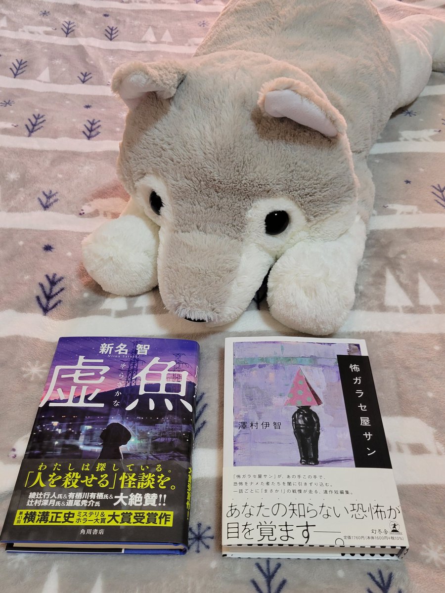hakoshirobookac's tweet photo. 気になっていた新刊も一緒に買ってきたので、どれから読もうか迷っちゃう！　贅沢な悩みです☺️

ゲーセンでお迎えしたオオカミさんをもふりながら考えようと思います📚 https://t.co/QWRvN5W0u2