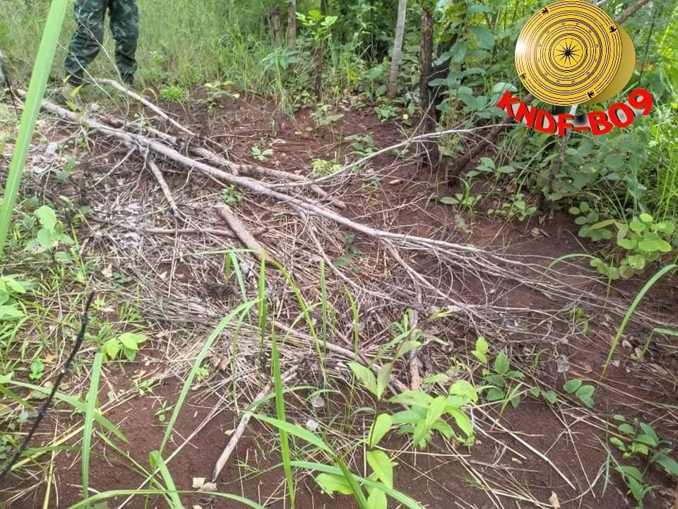 TheChindwin's tweet photo. The two bodies were discovered tied with ropes around their necks and buried in a bent position near the junta’s camp by the #Karenni   National #Defence  Force. It is believed that the deceased might have died of severe torture by the #military  junta. https://t.co/eKlCSTide5