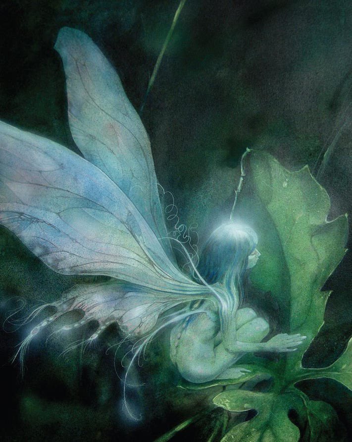 ricemilk97x's tweet image. card #33 “the faerie of growth” from “the heart of faerie oracle deck” (2010), by brian froud