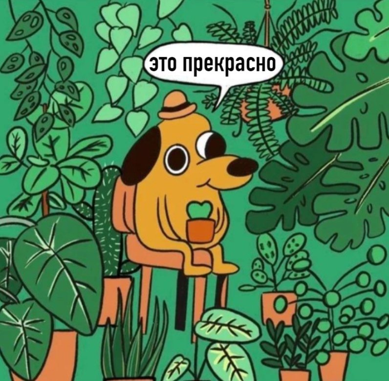 NixtasYart's tweet photo. я даже приготовила мем на тот случай когда мой палец с занозой заживет но он не зажил но мем все равно здесь https://t.co/jhGPCIqg5a