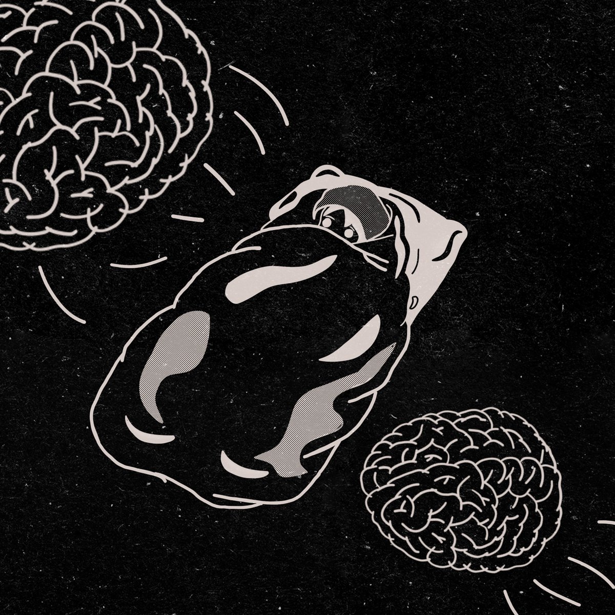 Piperthelogos tweet media