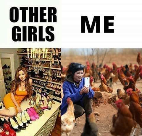 Miss Newman (@roslynnnewman) on Twitter photo 