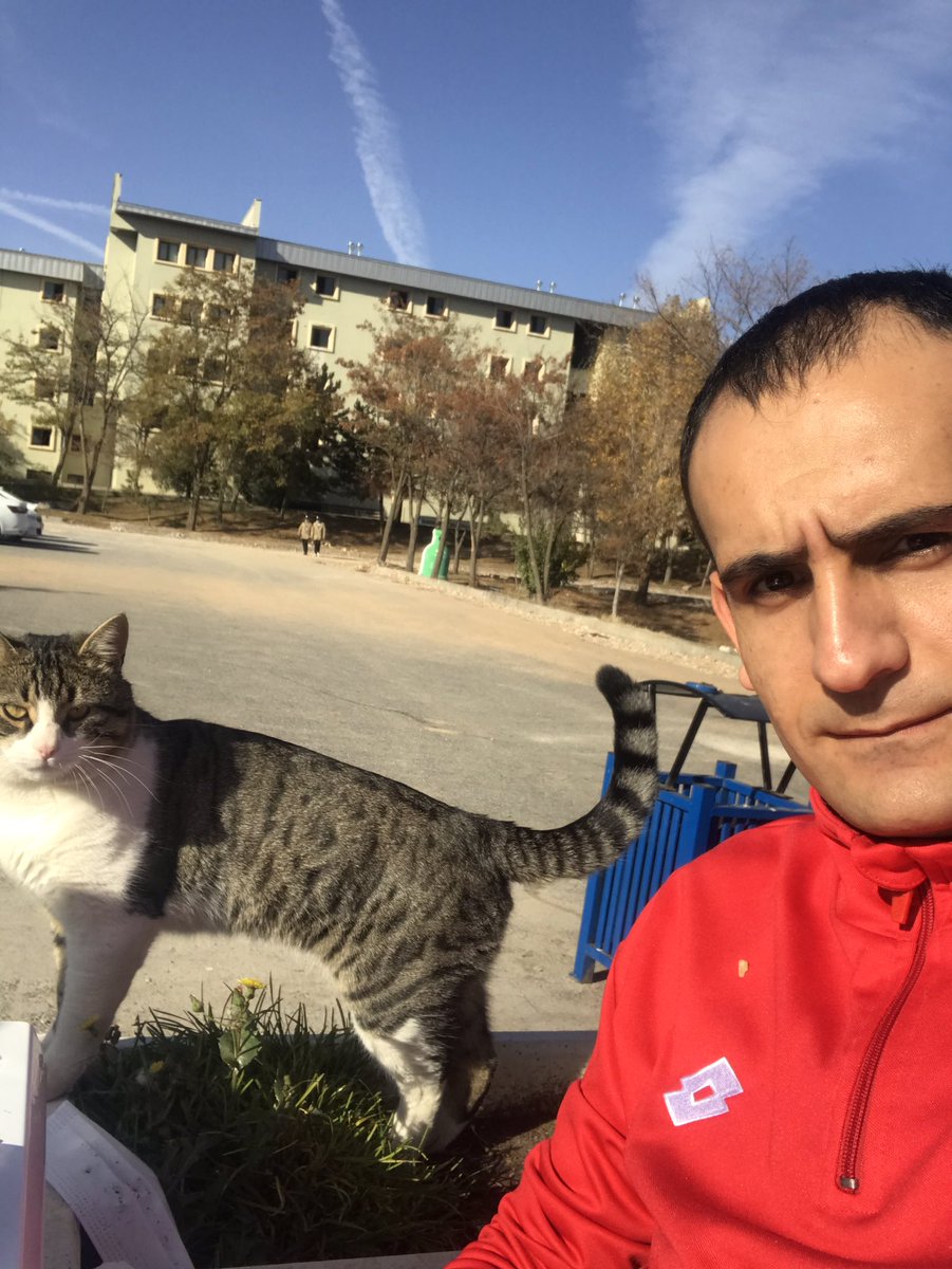 umutc_21's tweet photo. https://t.co/DHpcXtBH5W