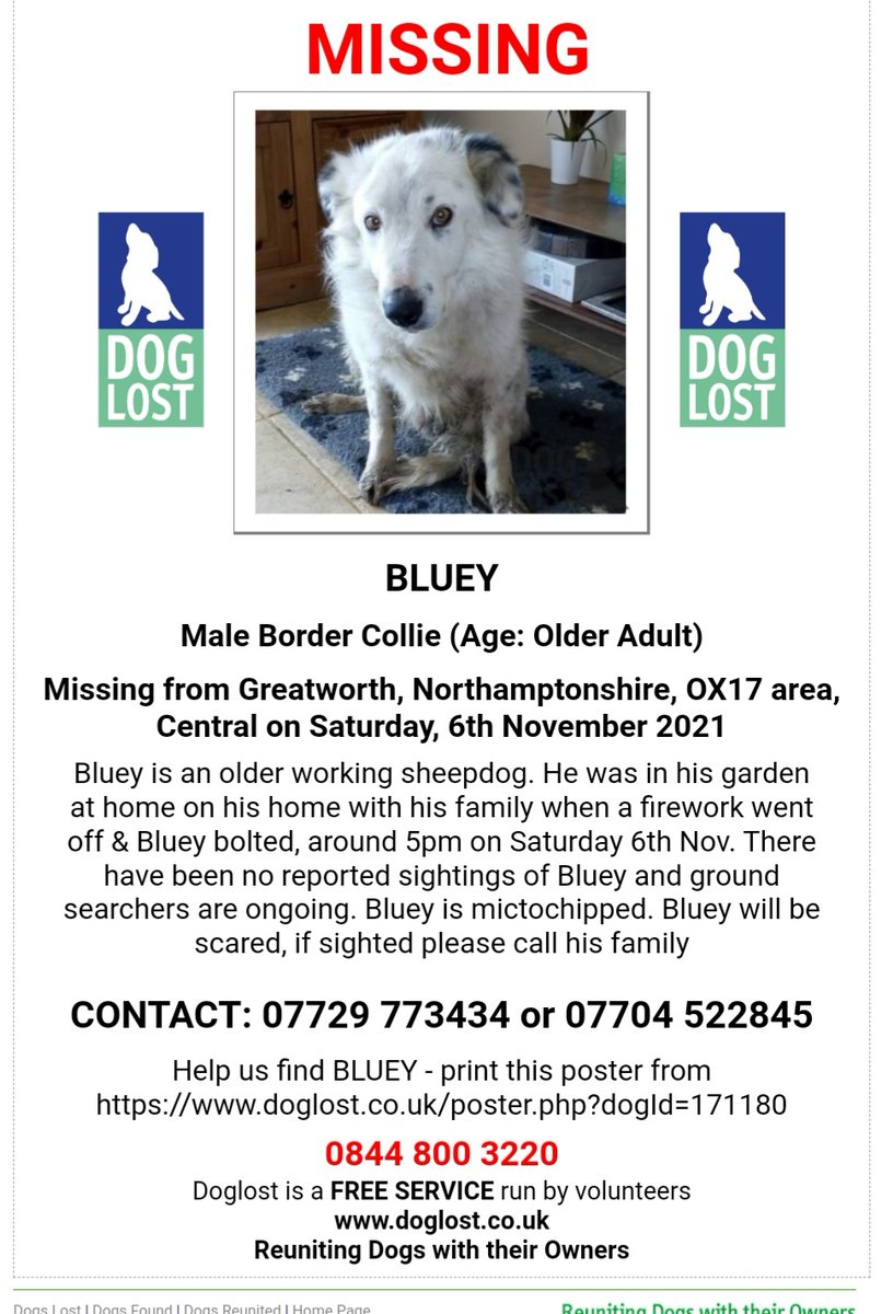 lisaphipps15's tweet photo. Lost: BLUEY Border #Collie Male working sheepdog bolted after a firework went off at 5pm from home #Greatworth #OX17 ran towards #Halse #Brackley #scanme #lostdog @DogLostUK https://t.co/o0v2HvbU9c https://t.co/Z0xL2L9Xx1