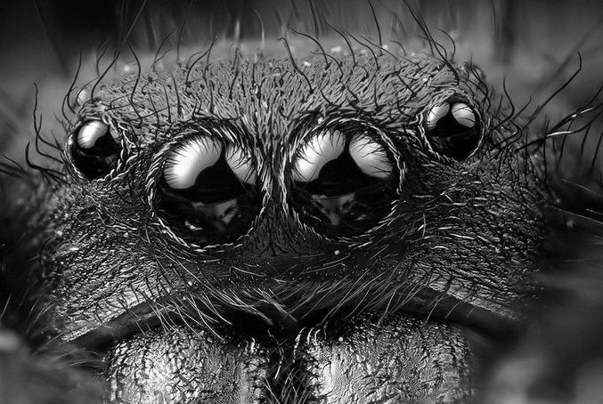 fearnfts's tweet photo. $FEARing into the Future...

All eyes are on November as we look to see out the Year. 

The team have several announcements coming up including a Strategic Investment made by the team plus a Key Eco system Component launch! https://t.co/ER2ycyqowz