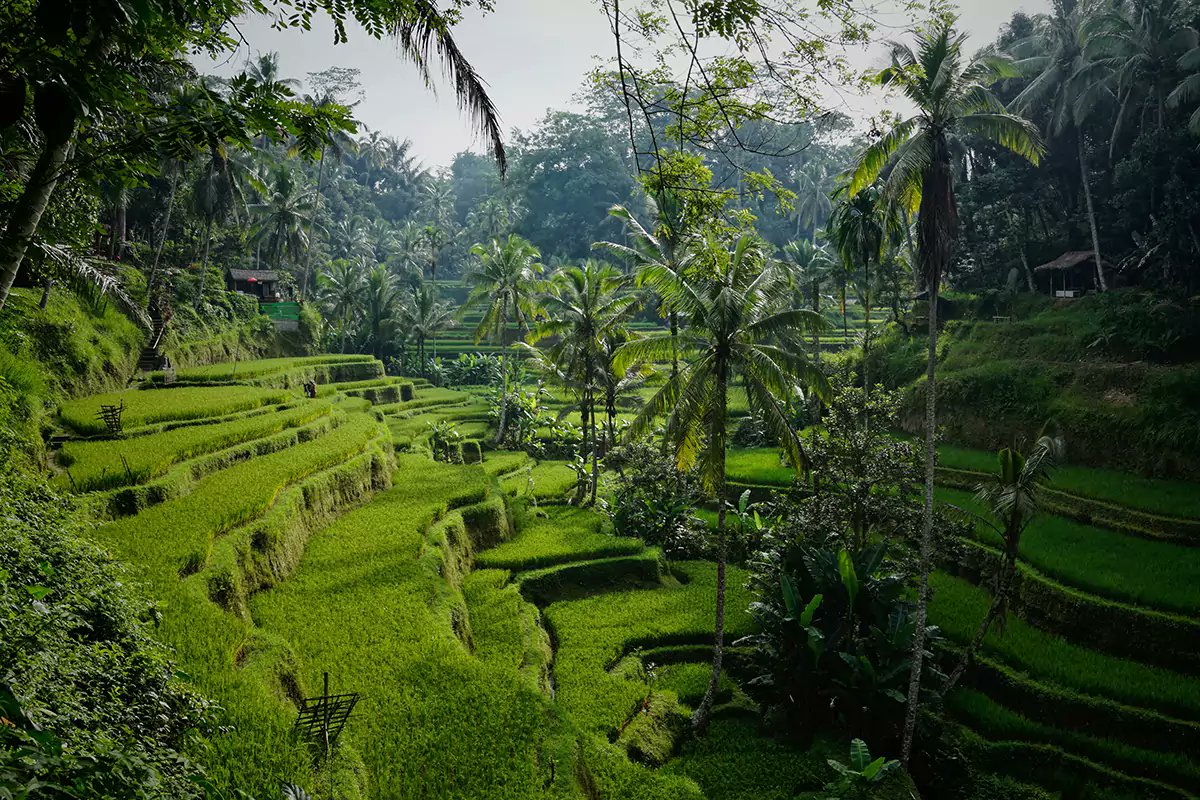 How does <a href="/COP26/">COP26</a> deliver on the $100bn #climatefinance promised for developing countries? Two must read reports from <a href="/GRI_LSE/">Grantham LSE</a> - from Amar Bhattacharya &amp; <a href="/lordstern1/">Nicholas Stern</a> on beyond $100 bit.ly/2Yt00Ry &amp; from Hans-Peter Lankes on 'blended finance' bit.ly/3BTtztd