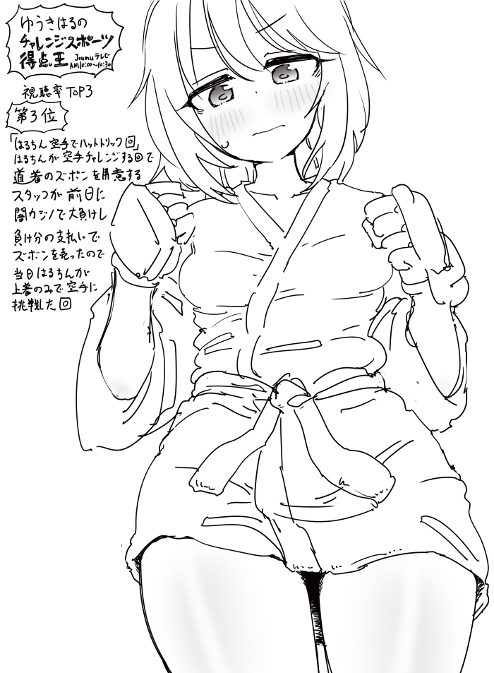 結城晴ちゃんのレギュラー番組 