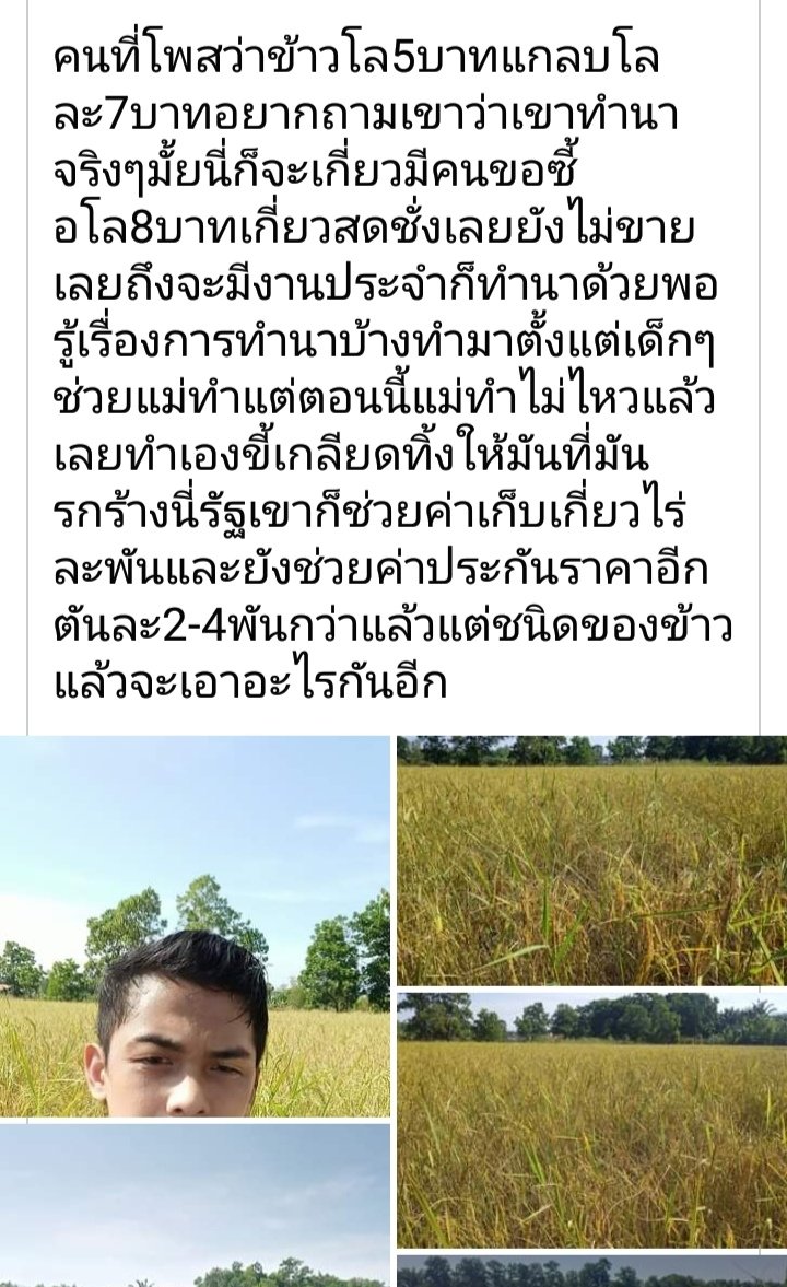 Thammas59237142's tweet photo. อ่ะนี่ชาวนาเค้าม��ถามแล้วไหนว่ะโลละ5บาท?? https://t.co/wnKYLqZCPC