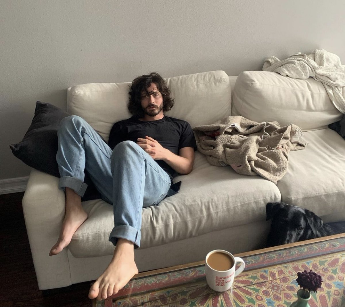 Perez Hilton tweet media