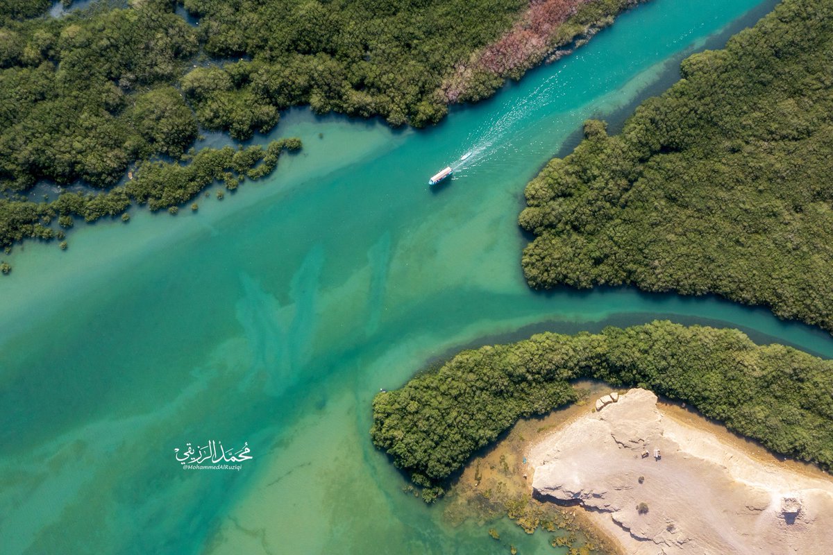 Mo7d_kh's tweet photo. خور مقيطع | ولايةصور : وهو خور صغير تنمو به أشجار المانغروف المعروفة محليا باسم شجرة القرم , ويقع بين قريتي سكيكره ونسمه .

# شاركونا أفكاركم لتطوير هذا المكان ؟!

@Sur_NN1 @ExperienceOM_AR @sur_media1 https://t.co/t8ZjrSGBS7