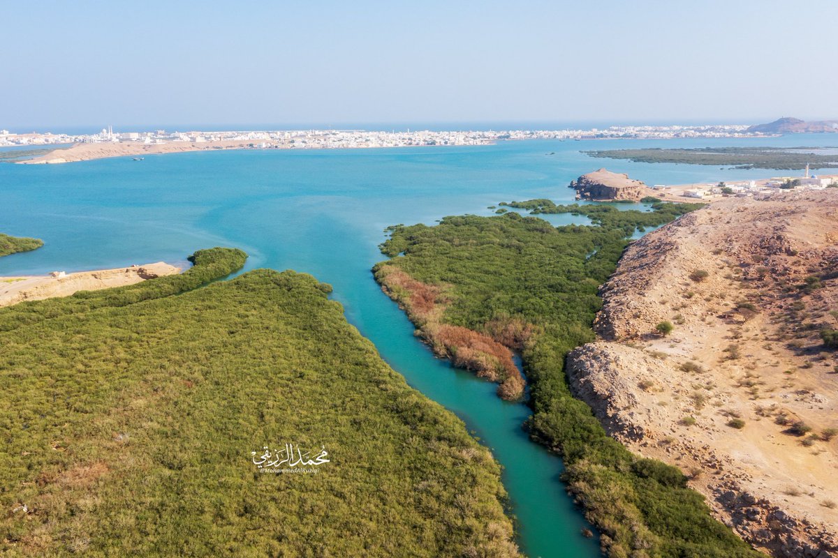 Mo7d_kh's tweet photo. خور مقيطع | ولايةصور : وهو خور صغير تنمو به أشجار المانغروف المعروفة محليا باسم شجرة القرم , ويقع بين قريتي سكيكره ونسمه .

# شاركونا أفكاركم لتطوير هذا المكان ؟!

@Sur_NN1 @ExperienceOM_AR @sur_media1 https://t.co/t8ZjrSGBS7