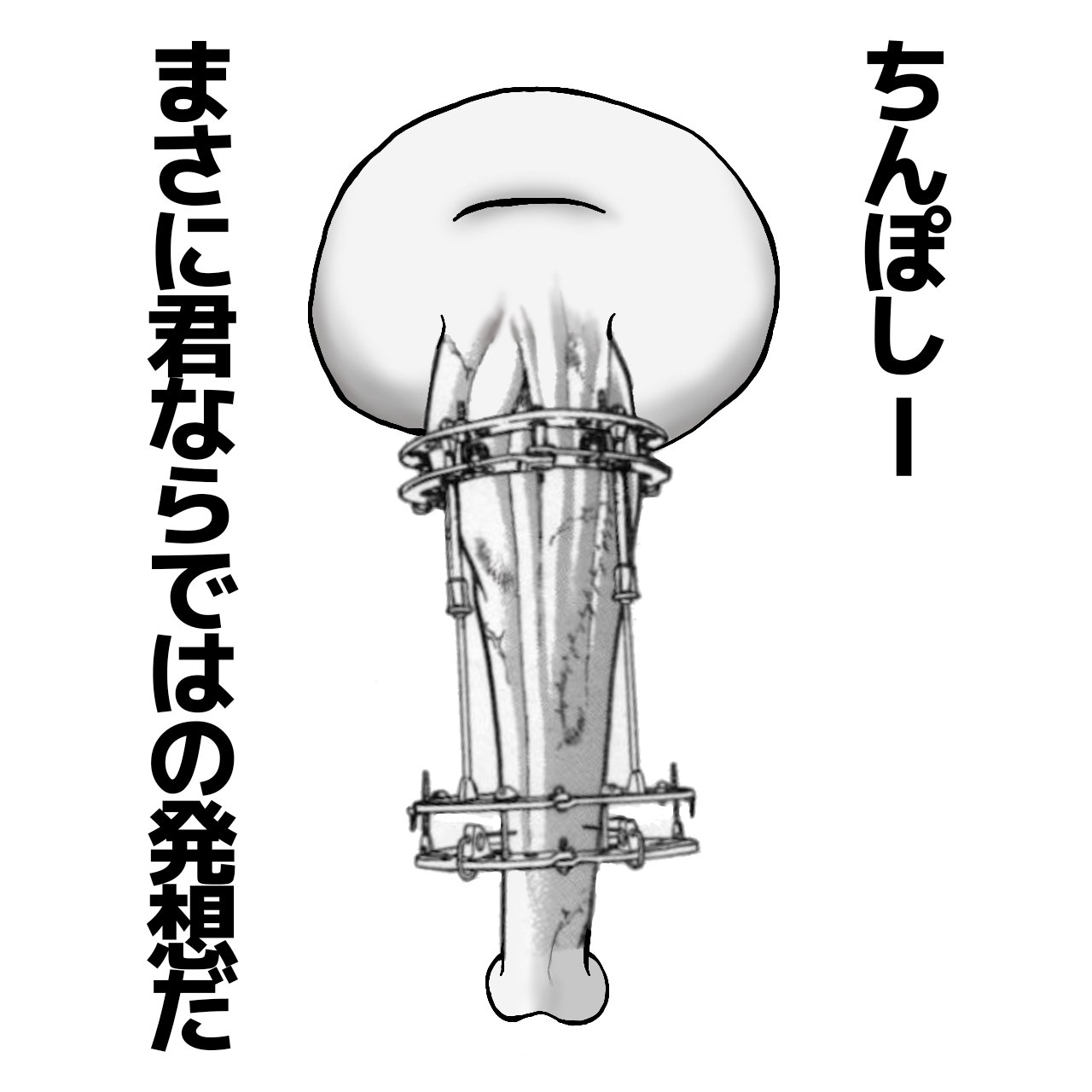 ちんぽしー Chinposy 延長するちんぽ 一日一ちんぽ ジャックハンマー 骨延長 ジャック範馬 T Co Jipnkjnn38 Twitter