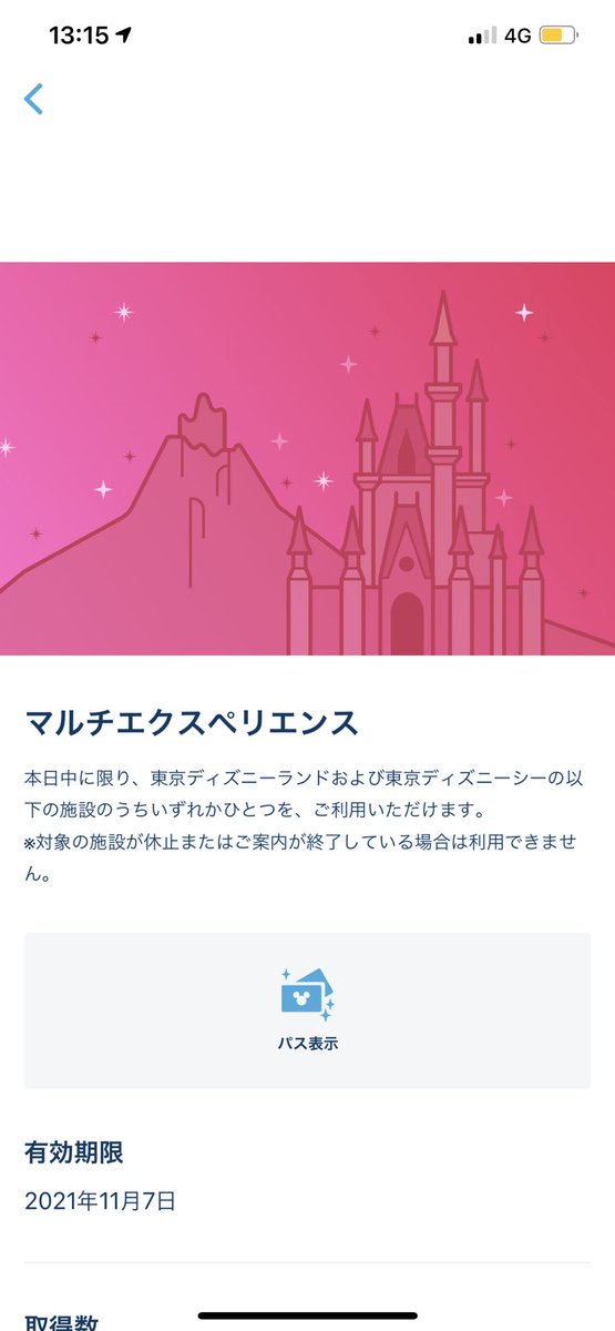 35 割引誕生日プレゼント ディズニー マルチエクスペリエンス チケット 2 その他 優待券 割引券 Houseoffashions Lk