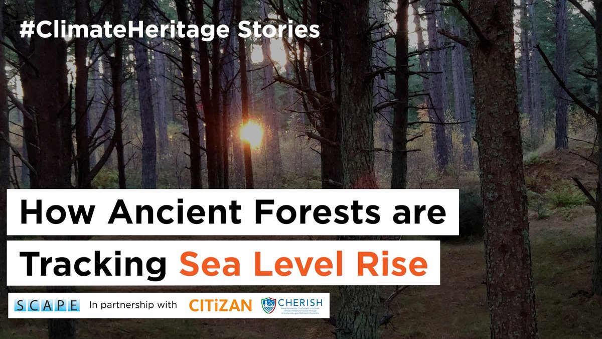 SCAPE (@coastarch) on Twitter photo What do fossil trees in the intertidal zone around Scotland tell us about past climate change? Click on this three-minute video to find out.
youtu.be/FYo8pD8dlLk
<a href="/HistEnvScot/">Historic Environment Scotland</a> <a href="/univofstandrews/">University of St Andrews</a>
#COP26 #climateheritage What do fossil trees in the intertidal zone around Scotland tell us about past climate change? Click on this three-minute video to find out.
youtu.be/FYo8pD8dlLk
<a href="/HistEnvScot/">Historic Environment Scotland</a> <a href="/univofstandrews/">University of St Andrews</a>
#COP26 #climateheritage