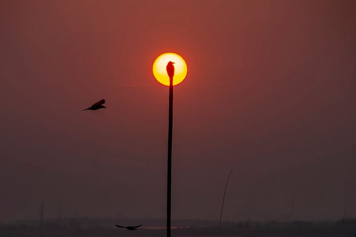 A Bangladeshi sweet autumn morning.

#Bangladesh #Nature #Autumn

<a href="/ProthomAlo/">Prothom Alo</a>