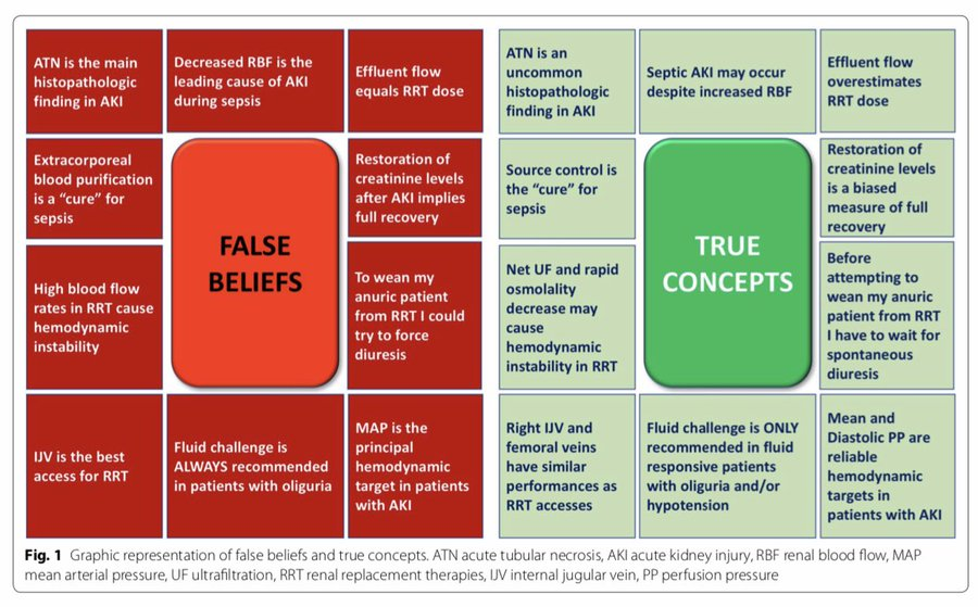 edgarvlermamd's tweet photo. The 10 False Beliefs in Adult Critical Care Nephrology #KidneyWk #Nephpearls 

https://t.co/X1seeXSZxz https://t.co/O5bQRf36Up