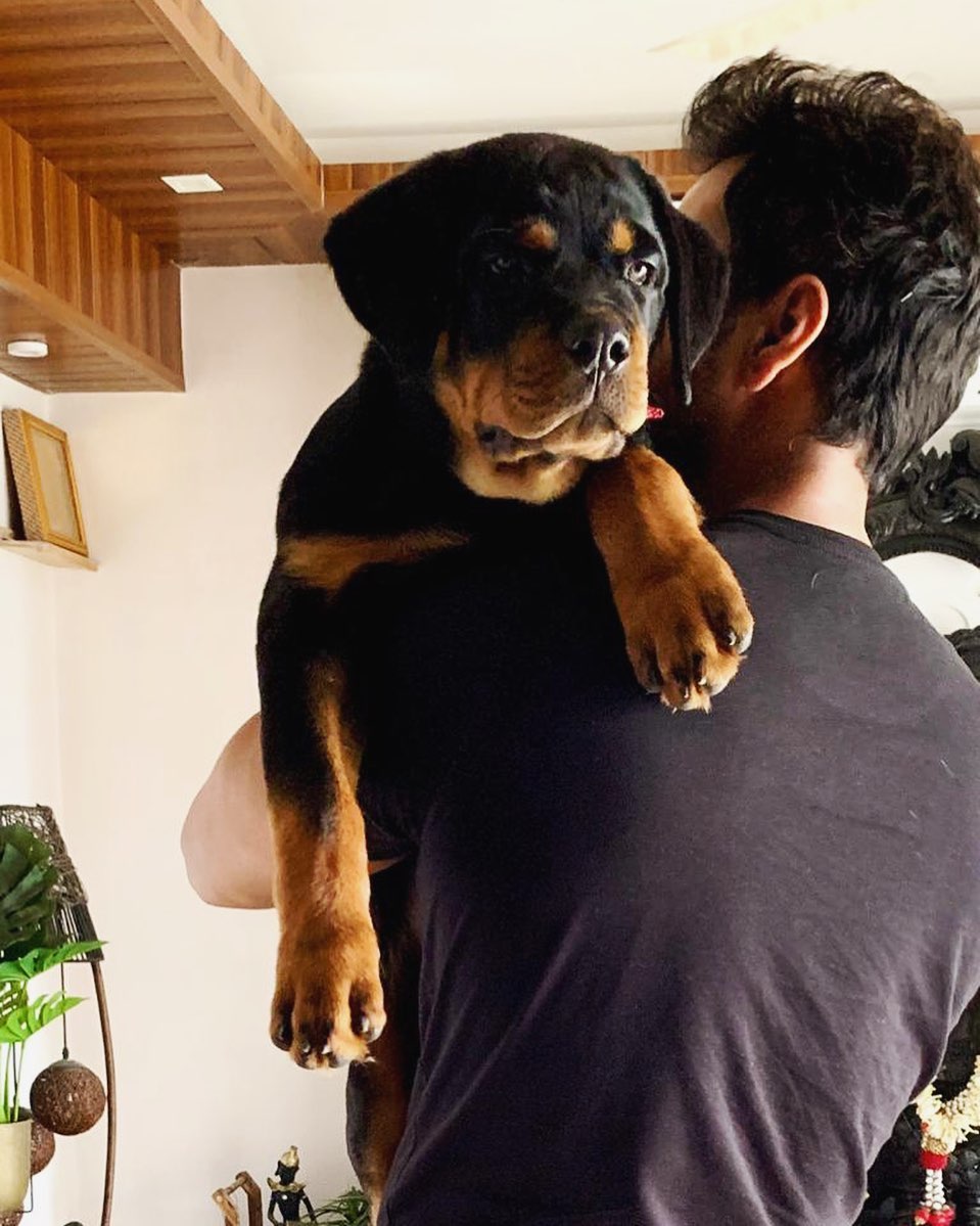 YashFanCluboffc's tweet photo. Animals have come to mean so much in our lives🐕...

@Yash_Dasgupta
#yashdasgupta #yfc #weloveyouyash #ouridolyashD #animalloverYd #doglover
#inspiration #tollywoodactor https://t.co/0sc7qWnJM8