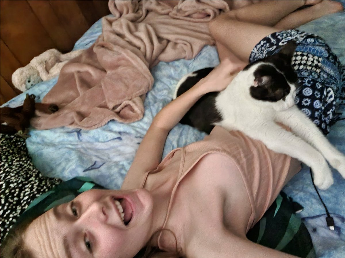 Chlowning's tweet photo. @nailogical kitty cats always know when you need that extra company...mines been curled up with me for the last 6 hours <3 https://t.co/uLWIRPJhEf
