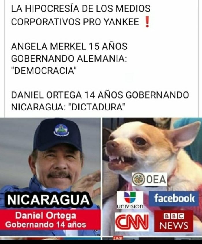 LaKstaana's tweet photo. Medios palangristas que buscan desestabilizar y crear Matriz falsas de opinión contra el gobierno de Ortega .
#ConDanielEnLa2 #NicaraguaTruinfa
Hipócritas no podrán contra un pueblo unido
@AntoineMeneses @prof_yurbe https://t.co/lK0VndJiPj
