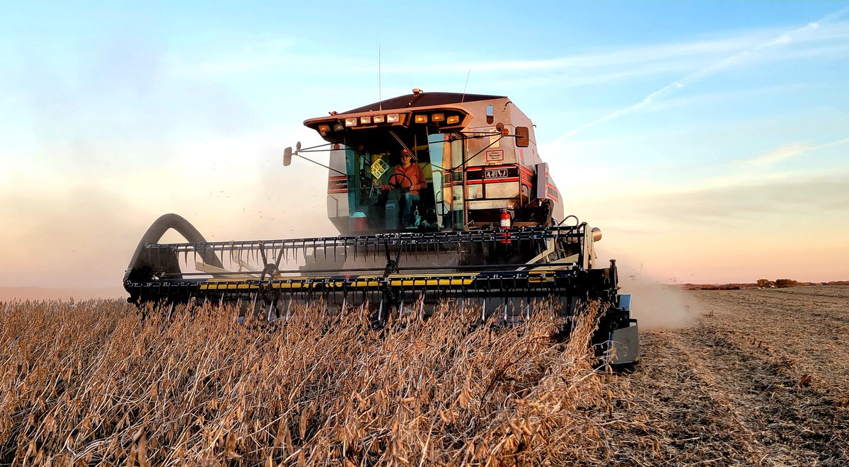 NTDerp's tweet photo. Day 27
#harvest21 https://t.co/KkDhqOVm2b