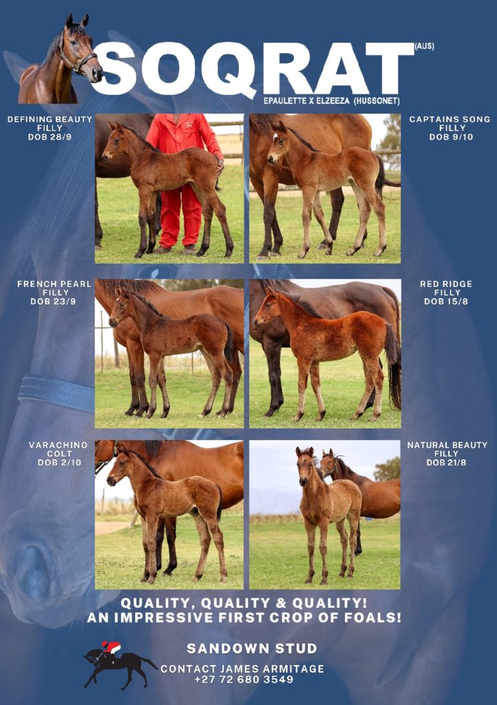 Soqrat - quality, quality, quality!

Click the link to read the latest Sporting Post Sprint:
issuu.com/sporting-post/…
<a href="/troysthoughts/">Troy Finch</a> <a href="/BloodstockSA1/">Bloodstock SA</a> @CapeTSales