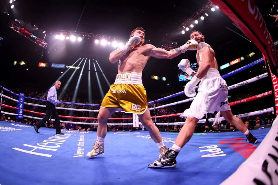 fans_canelo's tweet photo. Que orgullo ser tu fan, eres y serás por siempre el rey del boxeo, el mejor del planeta,  orgullo mexicano.♥️👊🔥💪💪🥊 @Canelo https://t.co/vLwt5SOnxT