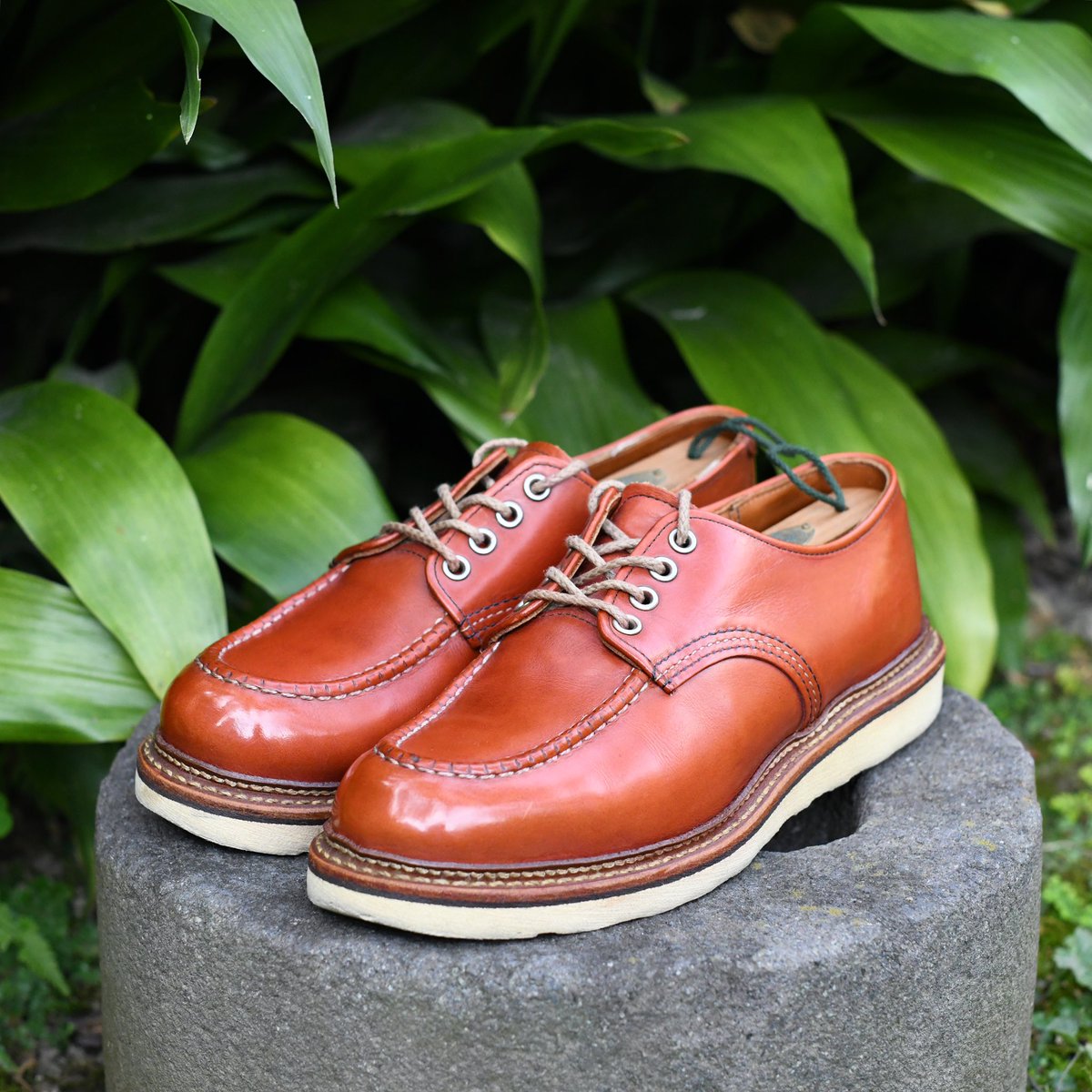 sthkzn's tweet photo. Red Wing 8103 CLASSIC OXFORD
最近履いてなかったので軽くお手入れ。
#redwing #shoes #mensshoes #redwing8103 #shoecare #shoeshine #レッドウィング #革靴 #靴磨き #シューケア #シューシャイン https://t.co/50ZwsG0Nd5