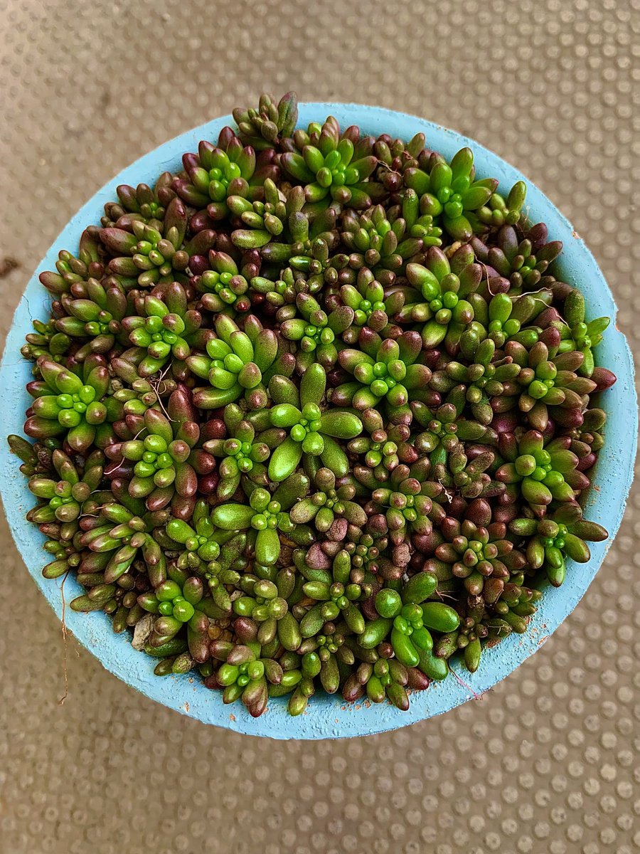 みんなの サンローズ 口コミ 評判 食べたいランチ 夜ごはんがきっと見つかる ナウティスイーツ