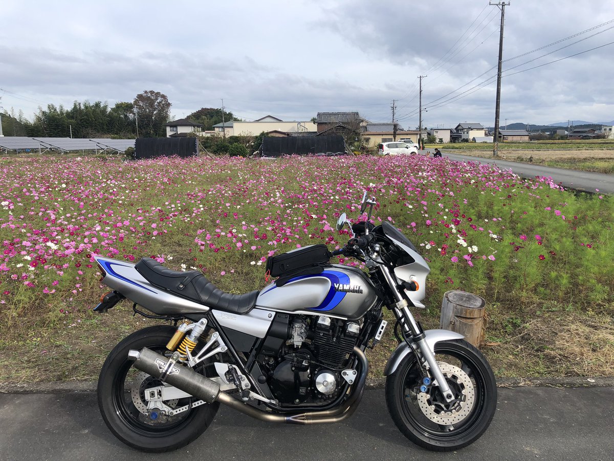 43Spped's tweet photo. 晴れてよかった〜
#xjr400r
#空冷4発
#コスモス https://t.co/U95lCahMWt