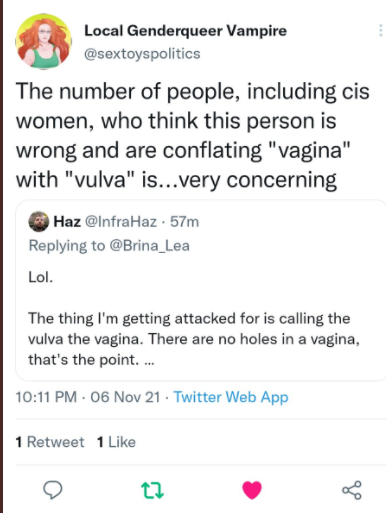 Only ONE PERSON in the qts tonight had the fucking honesty just to admit that I was right to say, that the vulva and the vagina aren't the same. After they found out about my politics, they deleted their tweet. I'm actually fucking pissed now.