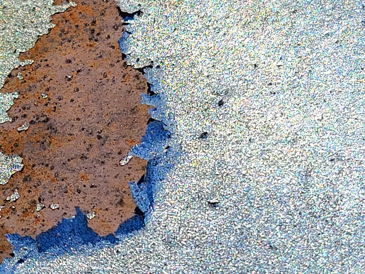 LitheSpyder's tweet image. #dPSWeatheredChallenge
#dPSWeeklyChallenge