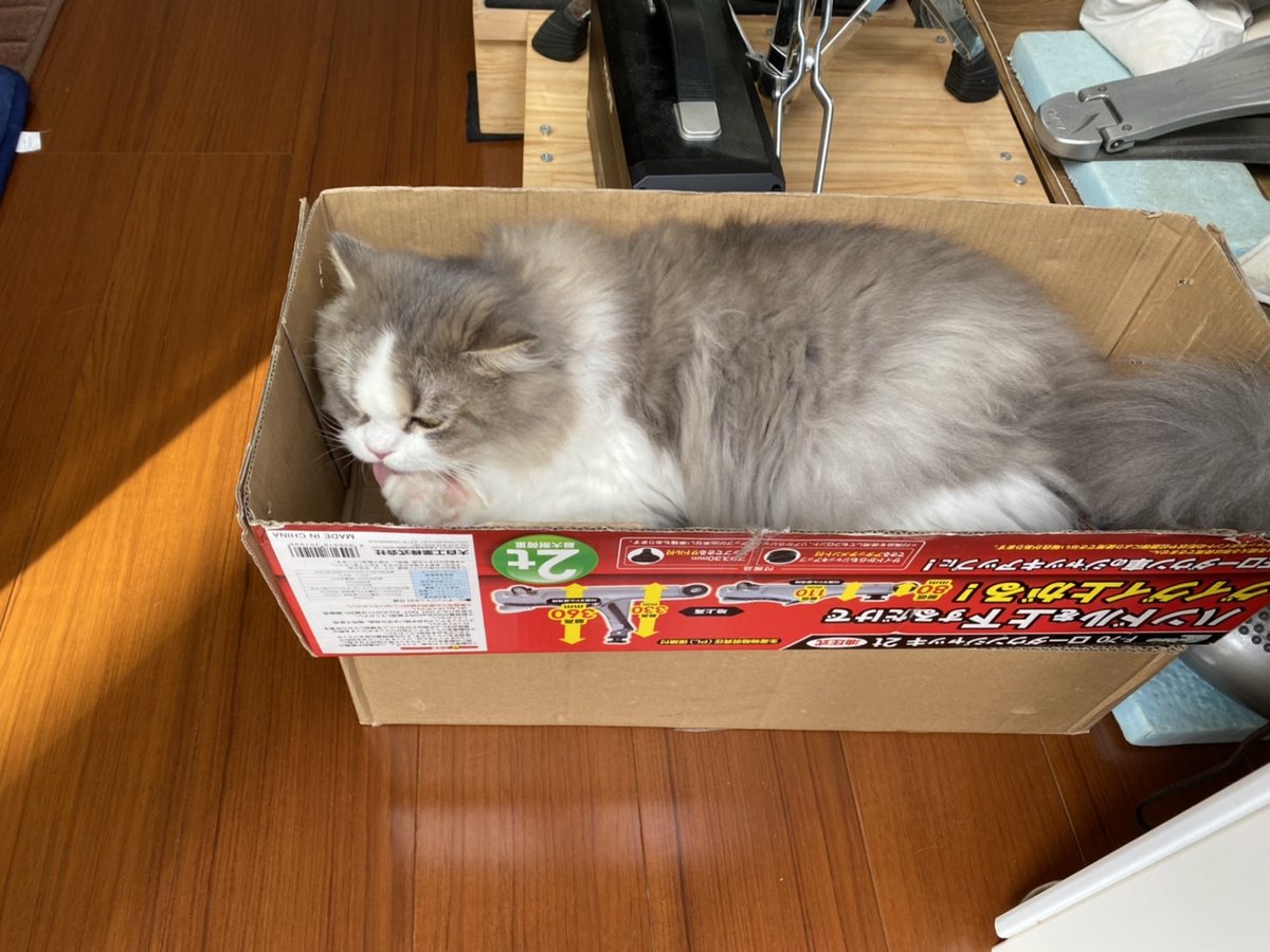 KitaxHiro's tweet photo. 車の整備が終わったので、ジャッキを片そうとしたら、、www
#猫の居る暮らし 
#車整備 https://t.co/zk7fk3fwx9