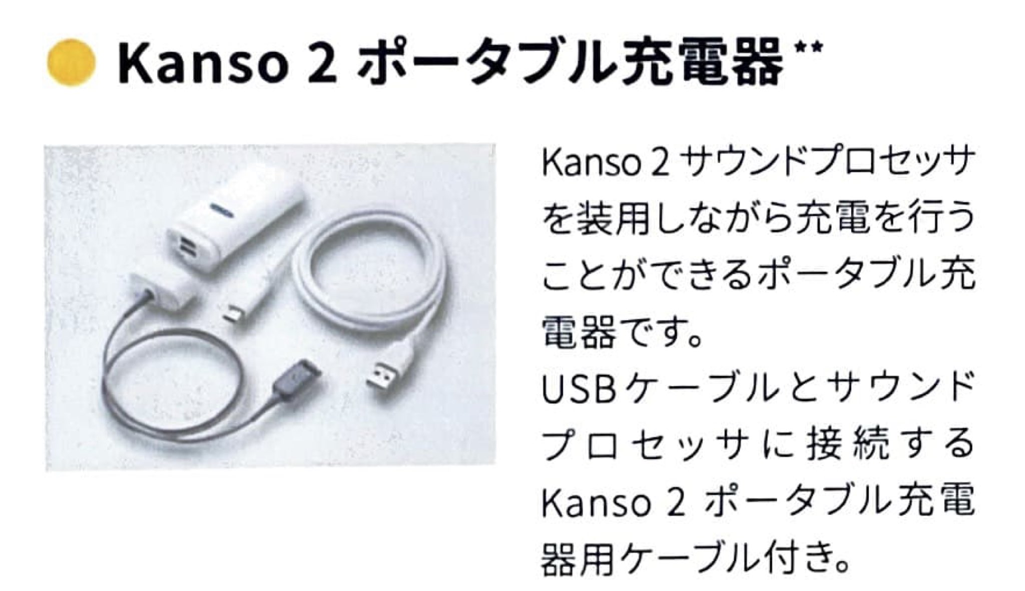 コクレア N7 Y字型充電器 人工内耳
