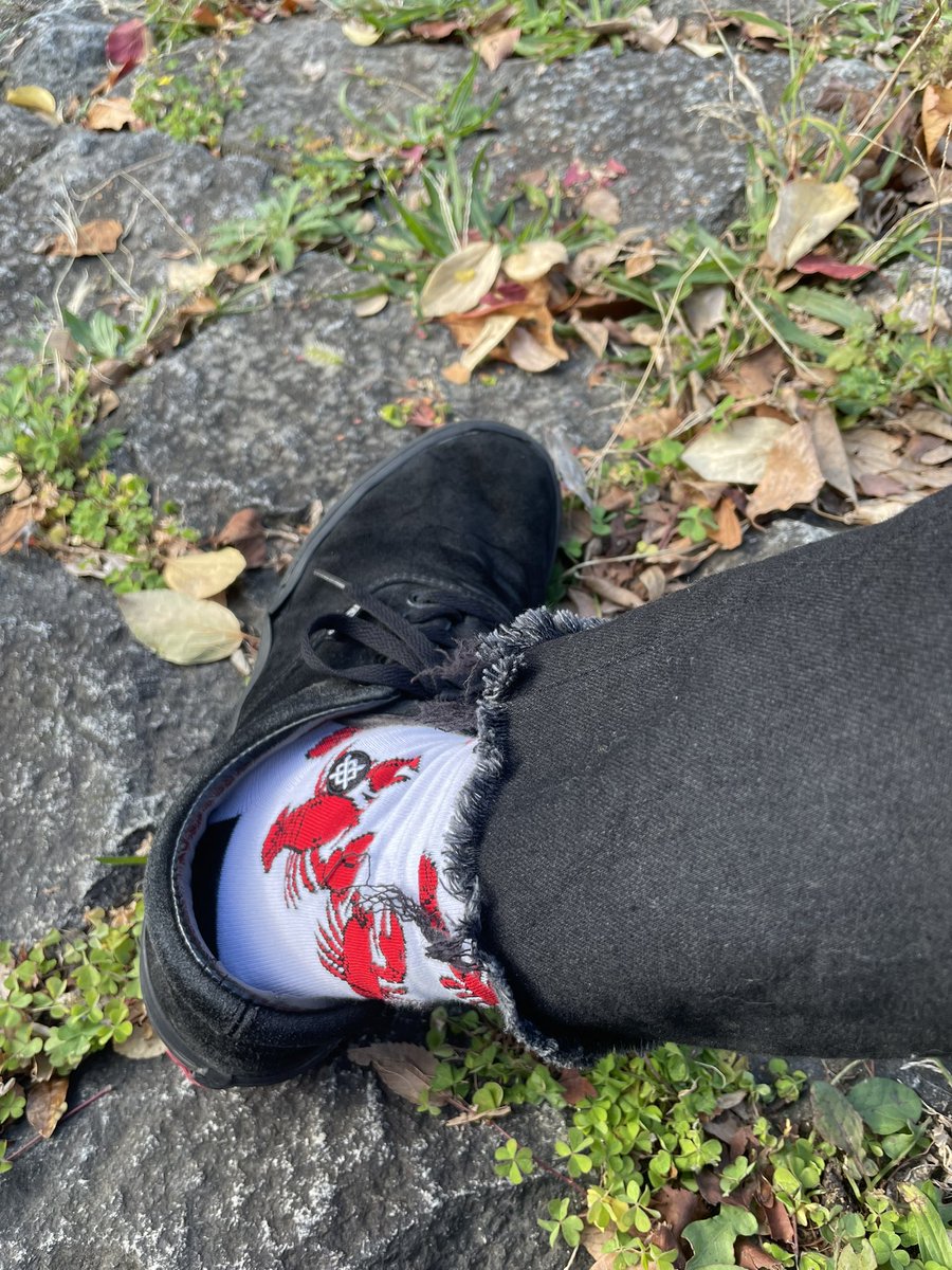 akira12181929's tweet photo. 昨日、久しぶりに靴下買った
ロブスター柄のヤツw
#stance
#socks
#robster https://t.co/iX5oMbHGqT