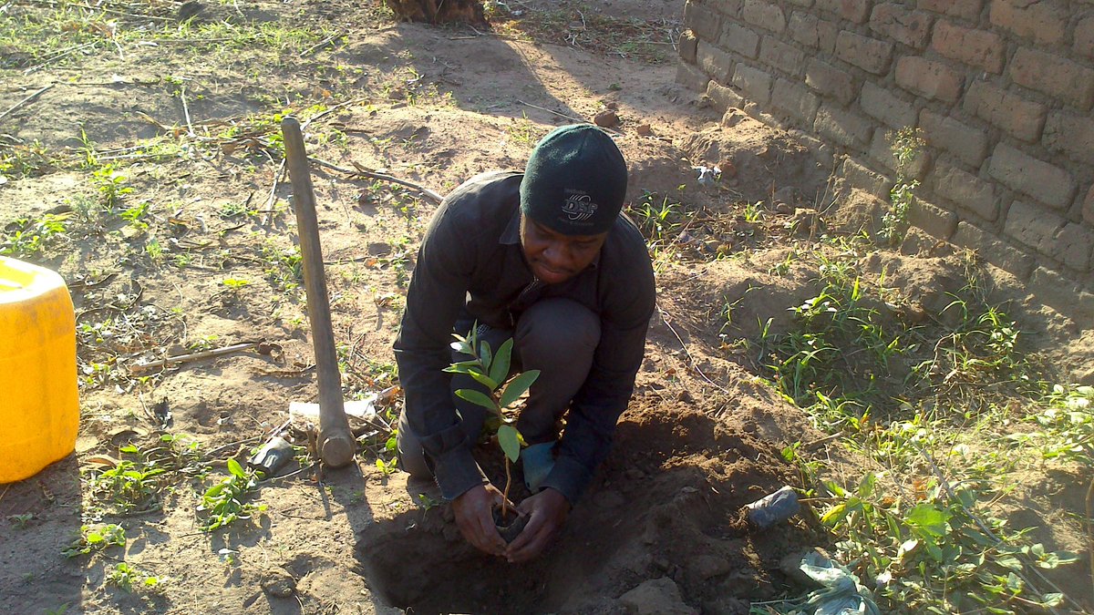 TIYEPADNetwork's tweet photo. Creating #FoodForestGarden is a way to sustainable living. Leader in action. #Permacuture https://t.co/gVQX8mSODF