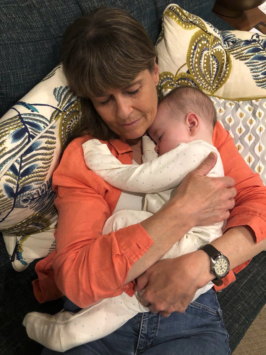 Terri Irwin tweet media