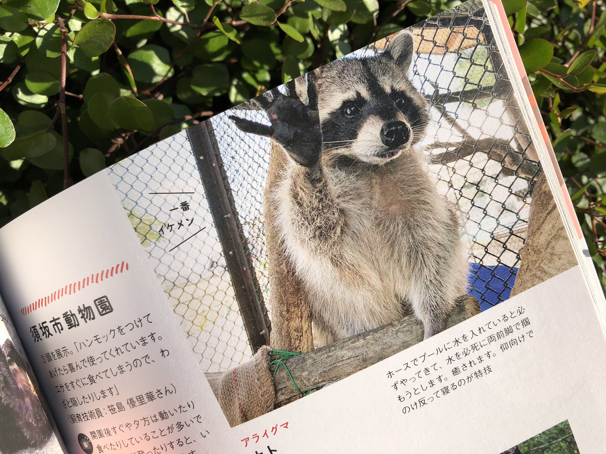 動物園に行こう Twitter Search Twitter