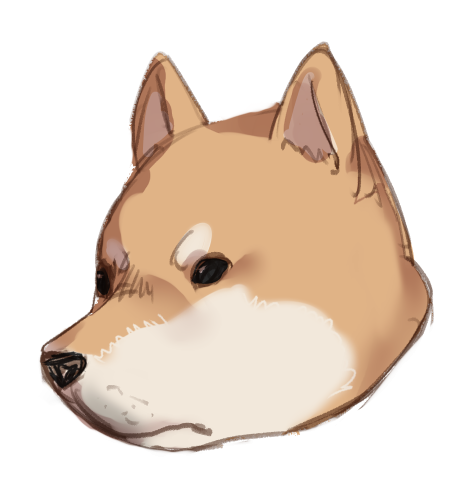 柴犬 
幼犬と成犬 