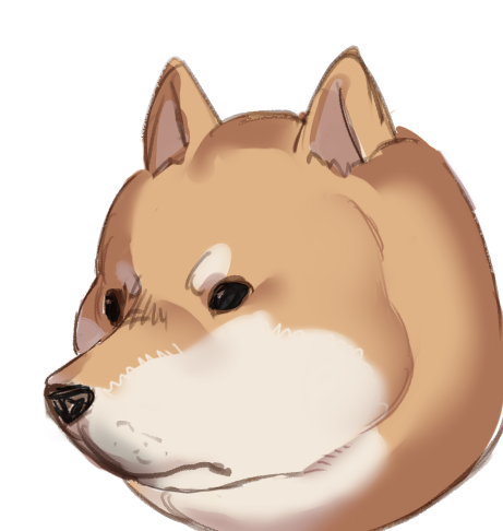 柴犬 
幼犬と成犬 