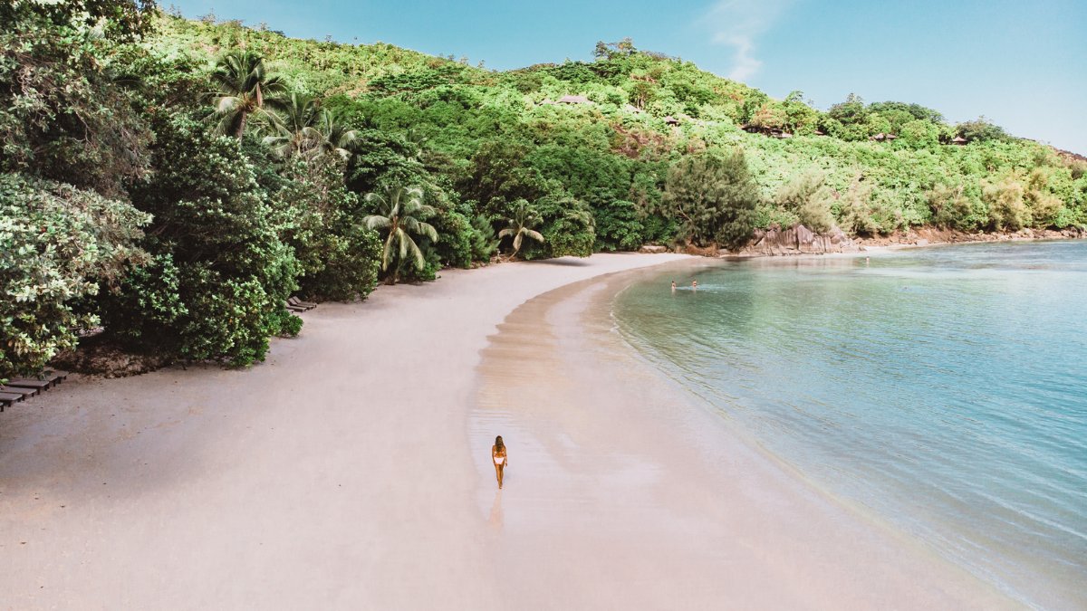 constancehotels's tweet photo. When you you walk on the sand and feel the warm #sea lapping at your feet... Is there a better feeling? ๐
We're waiting for you at #ConstanceEphelia ๐
#ConstanceWithU #BeachHoliday
#IndianOcean #TropicalVacation https://t.co/uqTMeTdURY