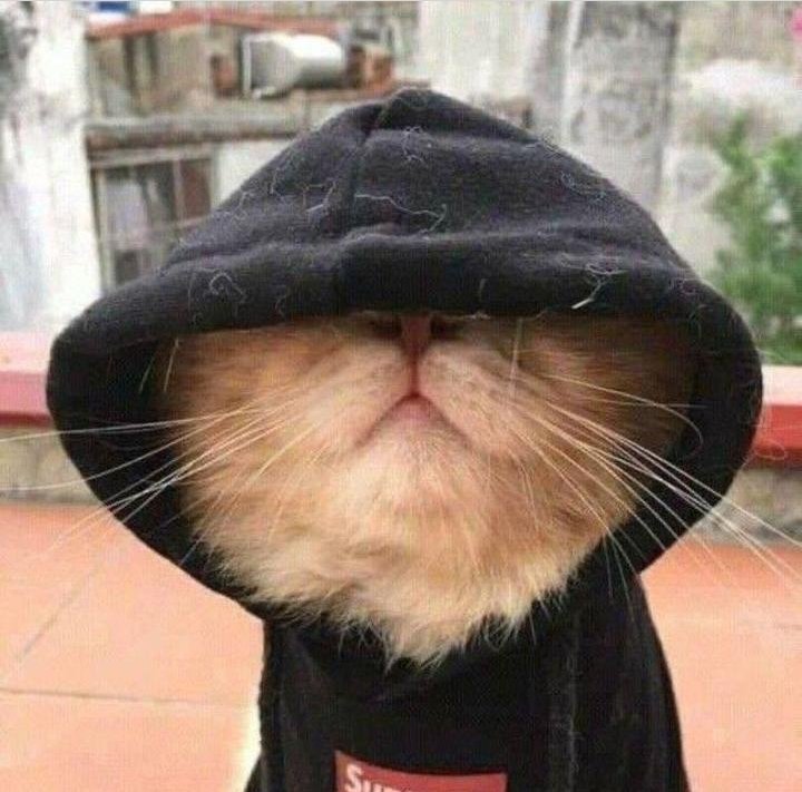 DeRealSammar's tweet image. Man-U edamu kusamba dii?