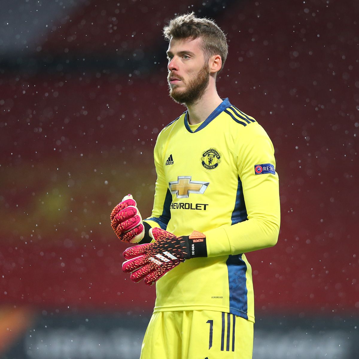 Happy Birthday David de Gea! 