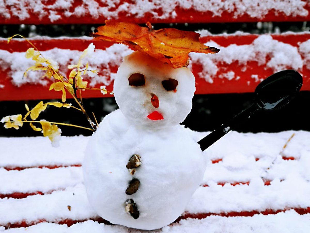 Guymay4's tweet photo. 2021.11.7 #立冬
The Winter has begun~~ ❄☃️🥟
#theBeginningofWinter #dumpling #节气 https://t.co/rduNSjkLoI