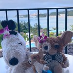 ジロー⭐︎沖縄のツイート画像