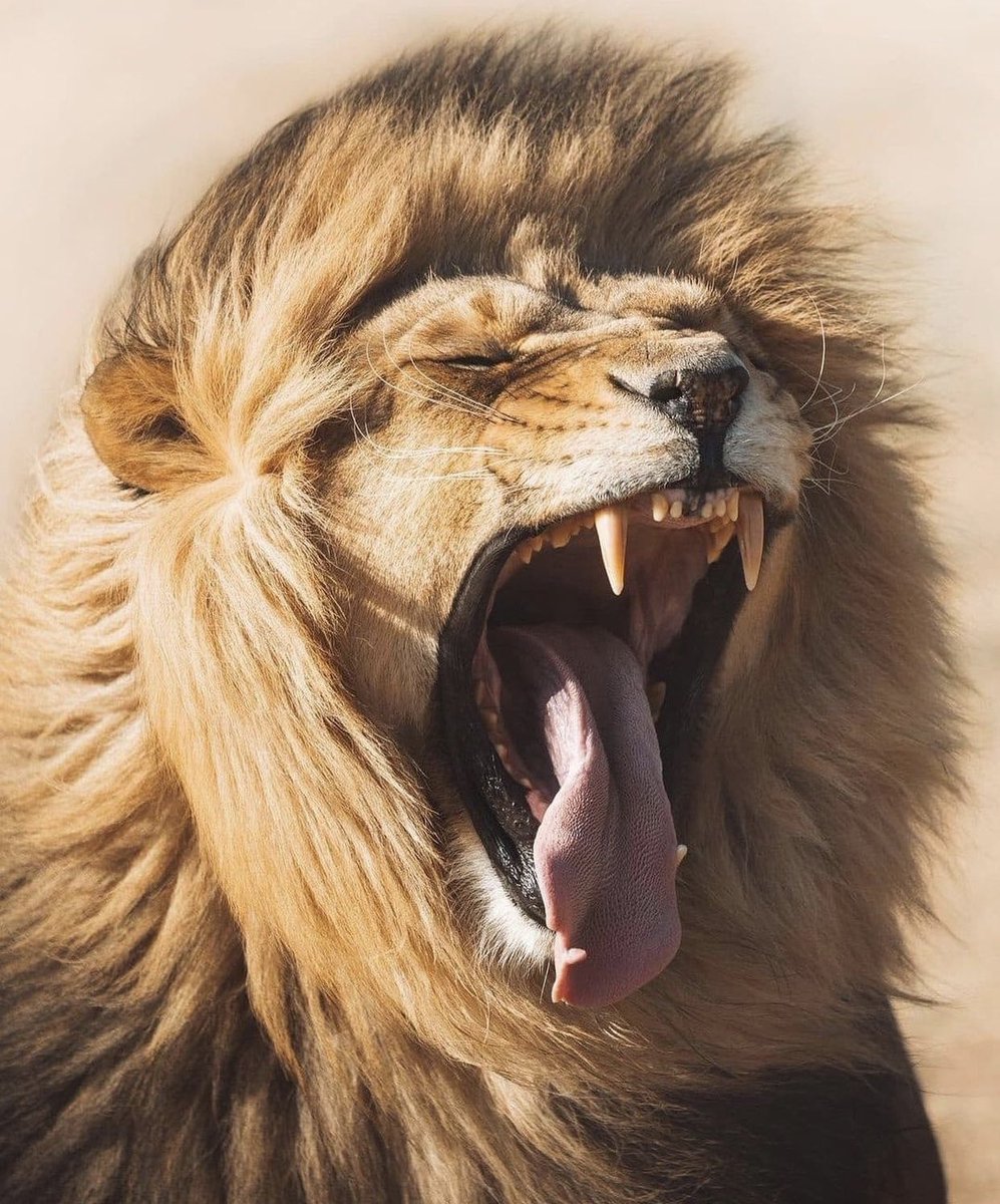 Herkese günaydın😇 kalbinizle yürüyün, sadece mantık yetmez😉