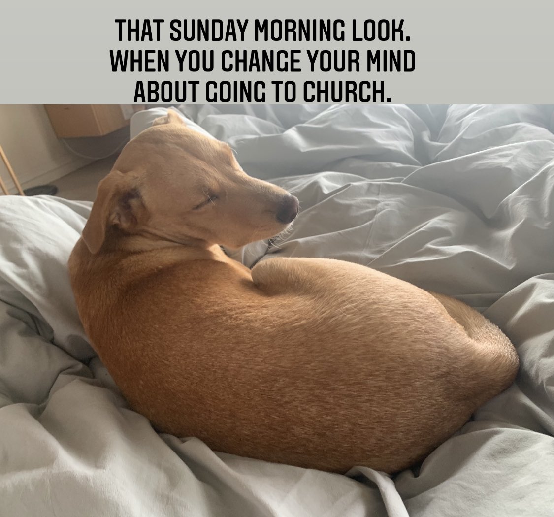 Marc Lottering tweet media