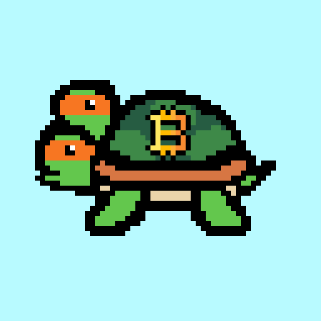TinyTurtleNFT's tweet photo. @ChantelJeffries Tiny Turtle! There are only 300!🐢 https://t.co/ZfK9uR8rD7