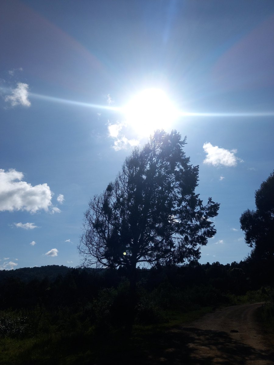 AligulaSamuel's tweet photo. Superb Sunday morning 🌄 https://t.co/MLfUIATsaw