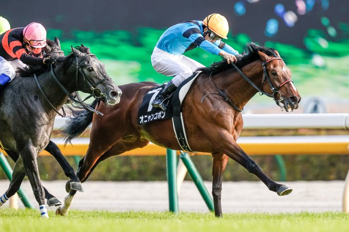 競走馬 オニャンコポン かわいい名前の意味は ふざけてるんじゃない深い由来 あたらしいもの好き くいしんぼうな薬剤師ママブログ