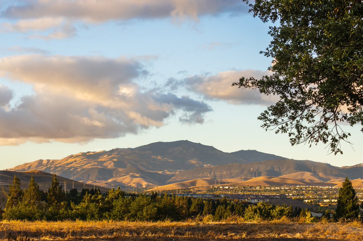 gankp's tweet photo. [“When everything looks dreamy, it's the golden hour.”]
@ThePhotoHour @yourtake 
#goldenhour #sunset #FallBack #DaylightSavingTime #CaliforniaLove #exploreca #eastbay #extrahourofsleep https://t.co/xfBN9sEM3Q